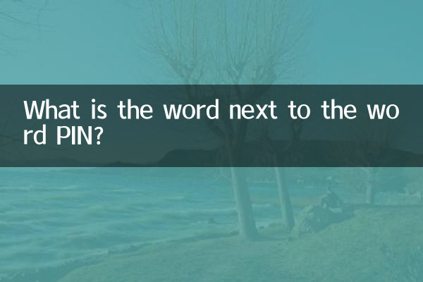 PIN이라는 단어 옆에 있는 단어는 무엇입니까?
