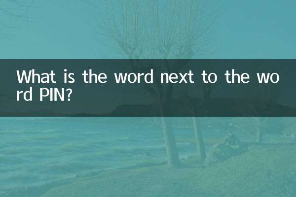 PIN이라는 단어 옆에 있는 단어는 무엇입니까?