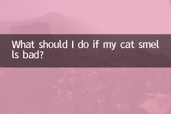 What should I do if my cat smells bad?
