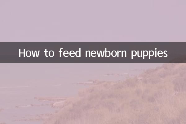 নবজাতক কুকুরছানাকে কীভাবে খাওয়াবেন