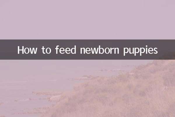 新生小狗怎么喂养