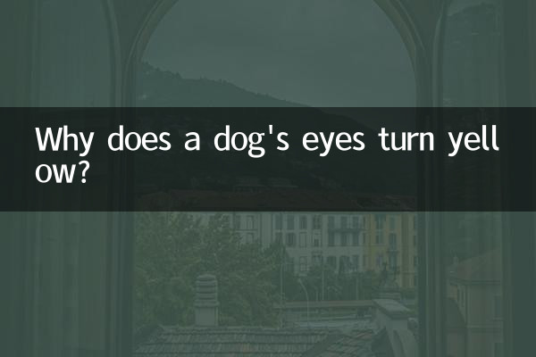 کتے کی آنکھیں زرد کیوں ہوجاتی ہیں؟