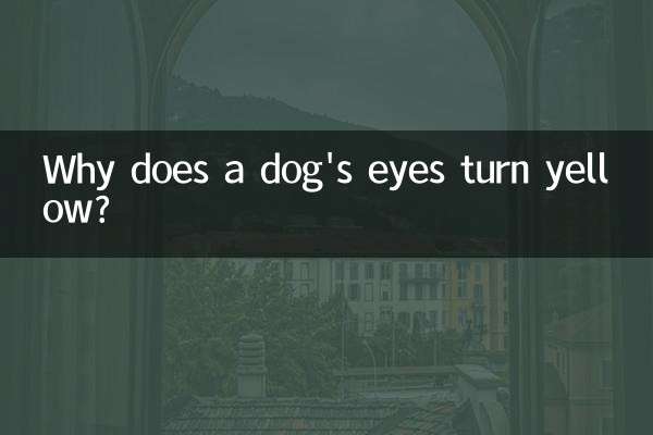 کتے کی آنکھیں زرد کیوں ہوجاتی ہیں؟