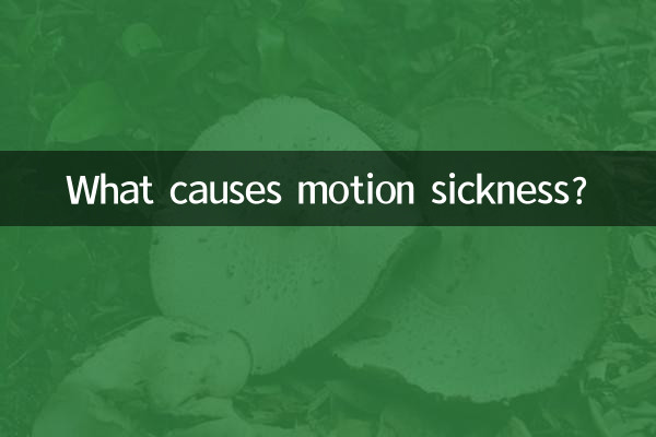 What causes motion sickness?