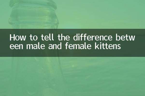 Как отличить котят мужского и женского пола