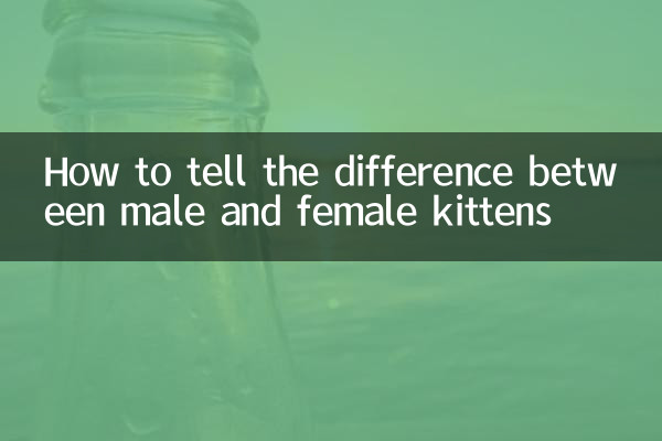 Как отличить котят мужского и женского пола