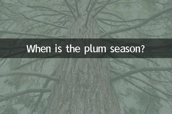 梅の季節はいつですか?