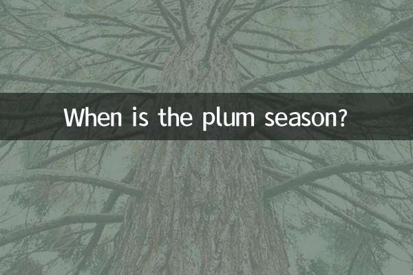 매화철은 언제인가요?