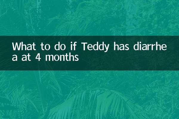 4个月泰迪拉稀怎么办
