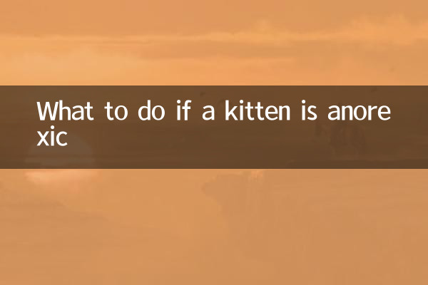 Was tun, wenn ein Kätzchen magersüchtig ist?