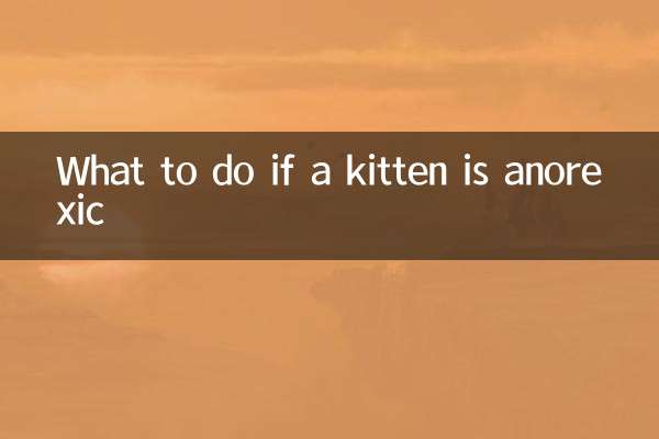 Was tun, wenn ein Kätzchen magersüchtig ist?