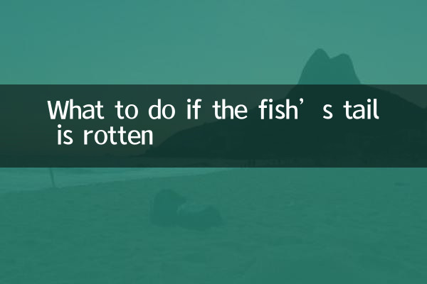 魚尾巴爛了怎麼辦