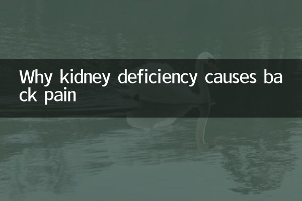 گردے کی کمی کیوں کمر میں درد کا سبب بنتی ہے