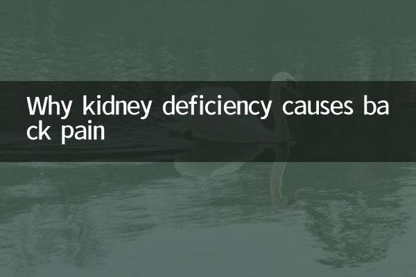 신장 결핍이 허리 통증을 일으키는 이유