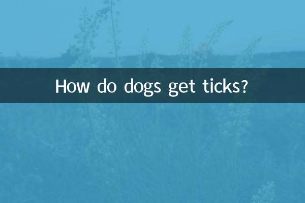 سگ ها چگونه کنه می گیرند؟