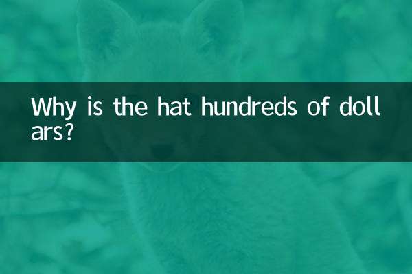 Por que o chapéu custa centenas de dólares?