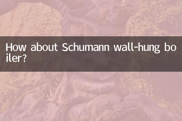 How about Schumann wall-hung boiler?
