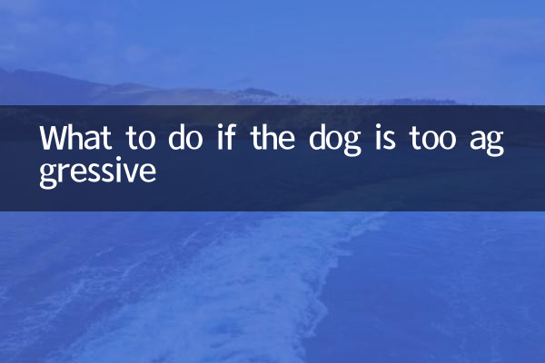 Was tun, wenn der Hund zu aggressiv ist?