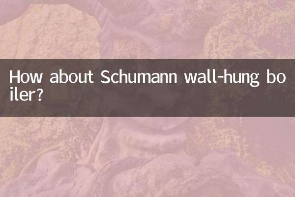 शुमान वॉल-हंग बॉयलर के बारे में क्या ख्याल है?