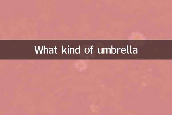 怎么样的雨伞