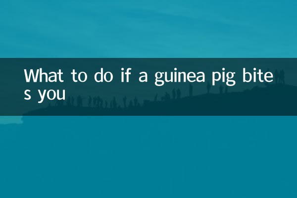 اگر خوکچه هندی شما را گاز گرفت چه باید کرد؟