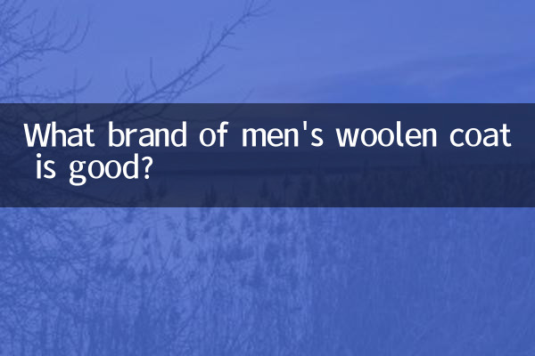 مانتو پشمی مردانه چه مارکی خوب است؟