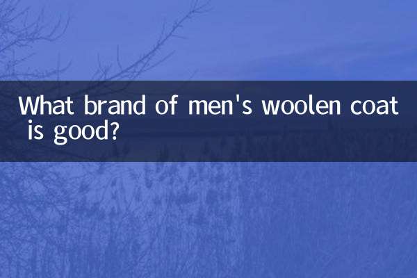 Quelle marque de manteau en laine pour hommes est la bonne ?