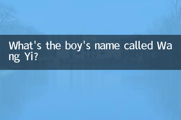 What's the boy's name called Wang Yi?