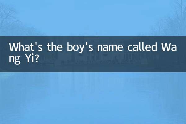 What's the boy's name called Wang Yi?