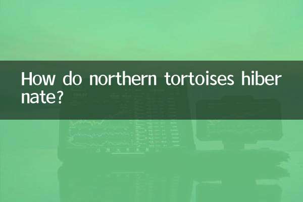 Come vanno in letargo le tartarughe del nord?