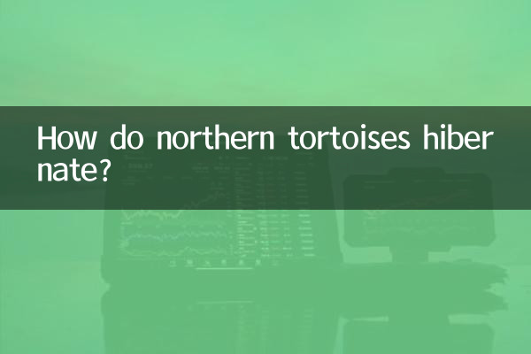 لاک پشت های شمالی چگونه به خواب زمستانی می روند؟