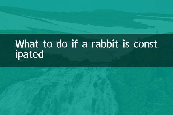 ماذا تفعل إذا أصيب الأرنب بالإمساك؟