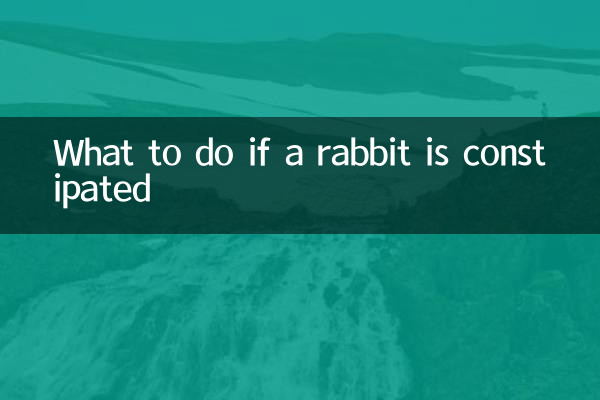 ماذا تفعل إذا أصيب الأرنب بالإمساك؟