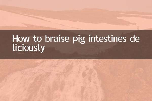 How to braise pig intestines deliciously