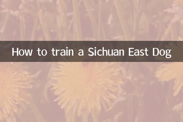 How to train a Sichuan East Dog