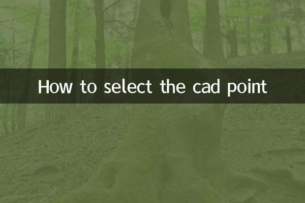 CAD 포인트를 선택하는 방법