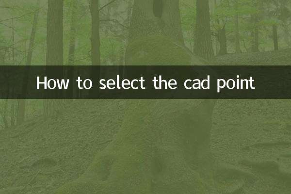 cad怎么选中点