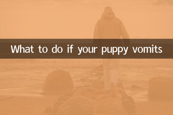 What to do if your puppy vomits