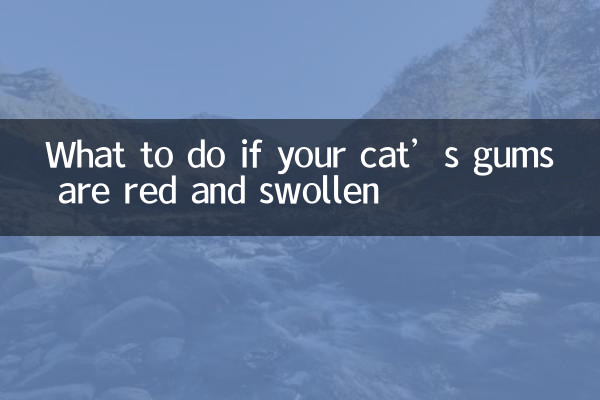 What to do if your cat’s gums are red and swollen