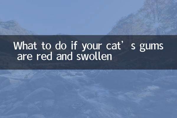 Was tun, wenn das Zahnfleisch Ihrer Katze rot und geschwollen ist?