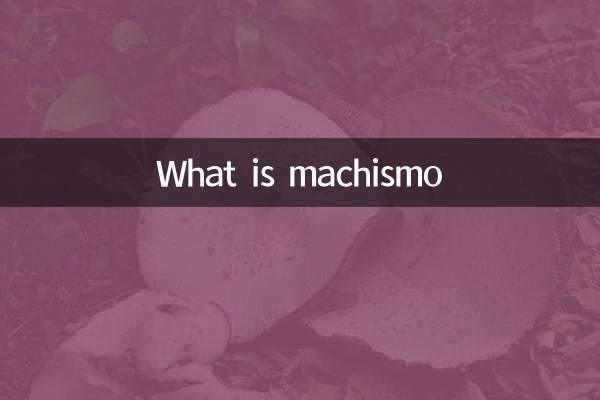 What is machismo