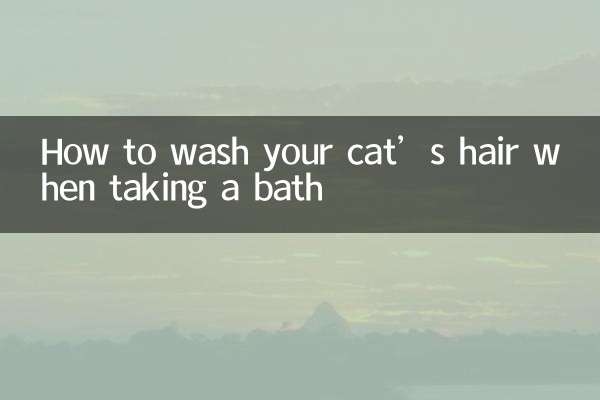 Como lavar o cabelo do seu gato durante o banho