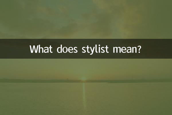 استایلیست یعنی چه؟