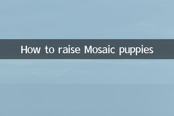 How to raise Mosaic puppies