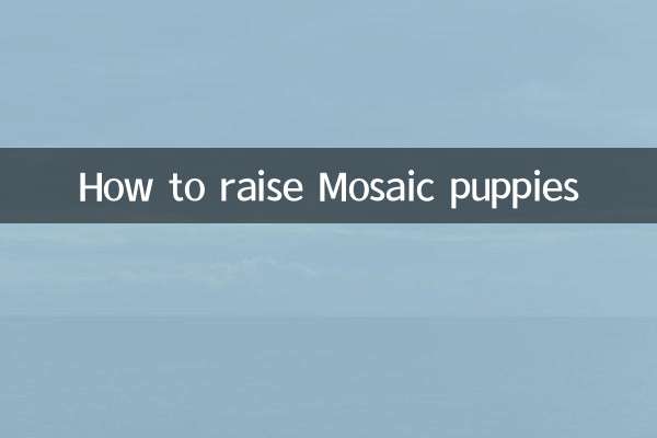 How to raise Mosaic puppies