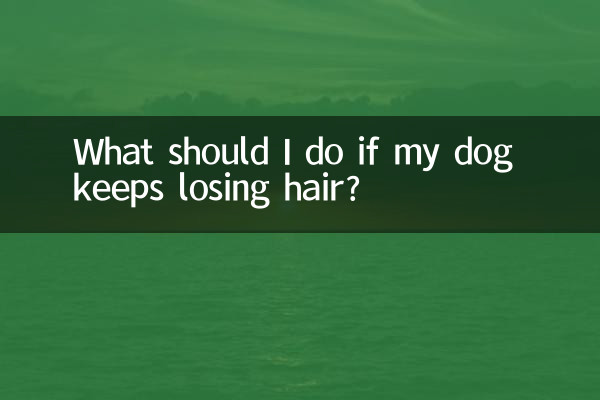 اگر سگم مدام مو می ریزد چه کار کنم؟