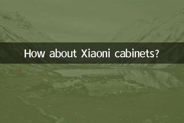 Que tal os armários Xiaoni?