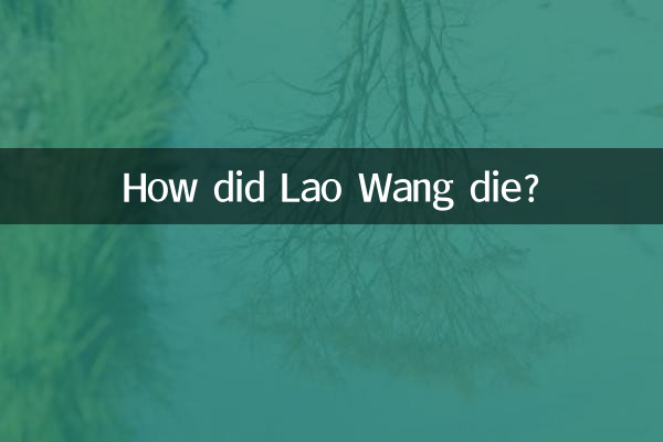 লাও ওয়াং কিভাবে মারা গেল?