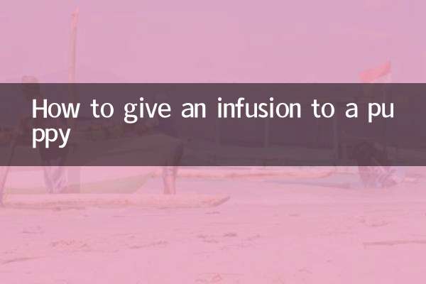 एक पिल्ला को आसव कैसे दें