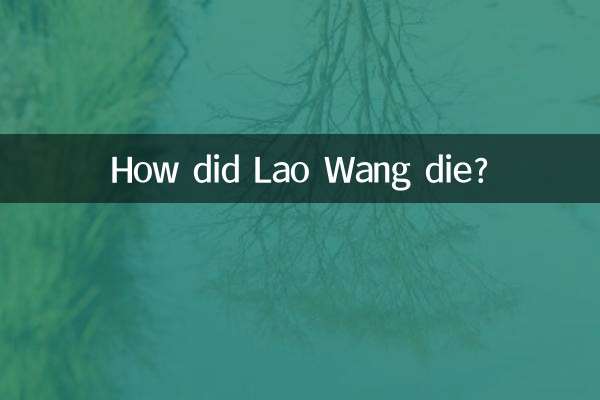 Как умер Лао Ван?